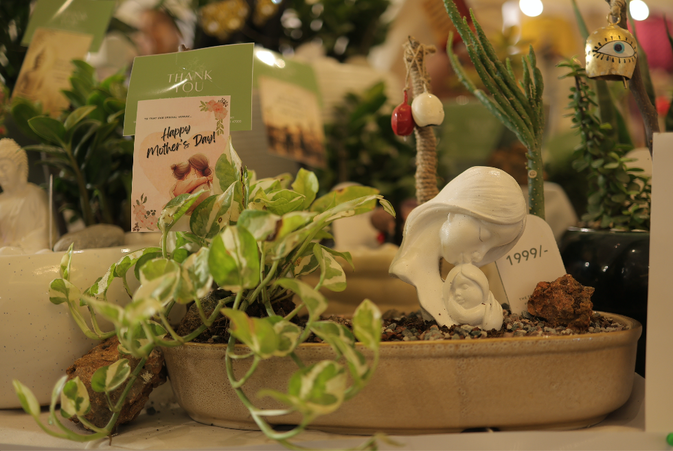 glimpse of last exhibition, photo 10